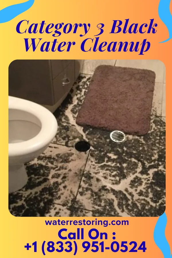 Category 3 Black Water Cleanup in Funk, NE