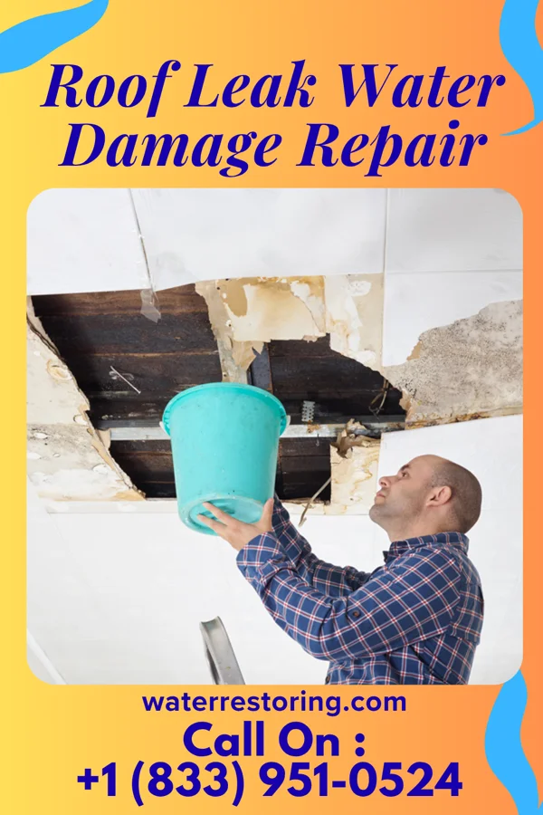Roof Leak Water Damage Repair in Funk, NE
