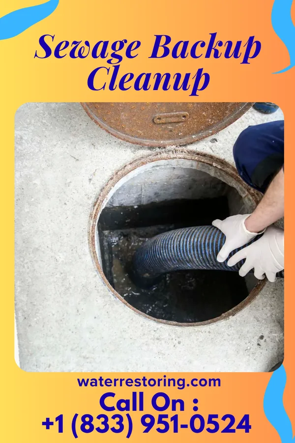 Sewage Backup Cleanup in Funk, NE